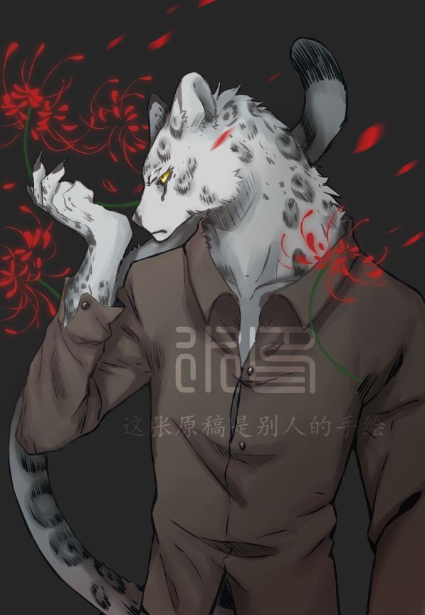 雪豹-样 by 鳯子