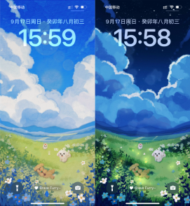 狗狗壁纸
