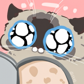 小猫