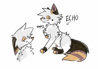 Echo by sleepboy昏昏