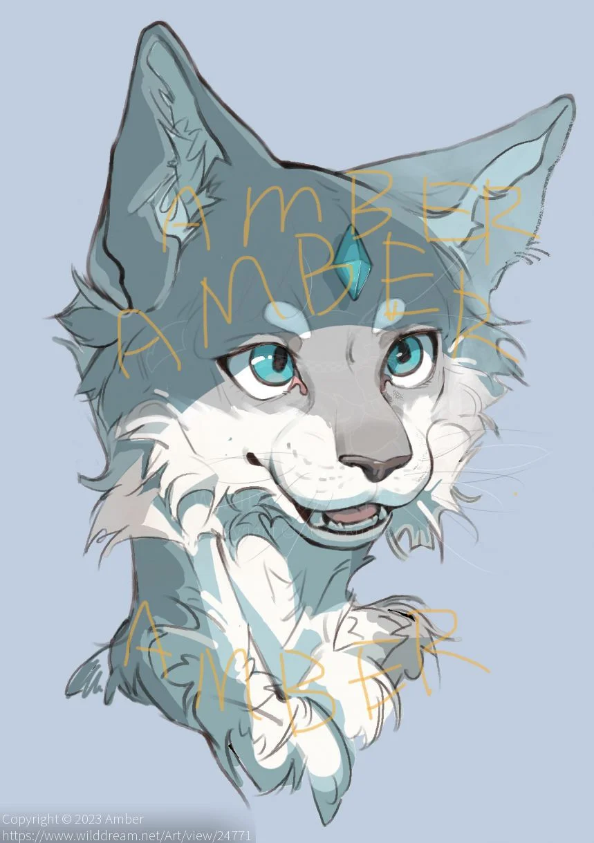 cat by Amber