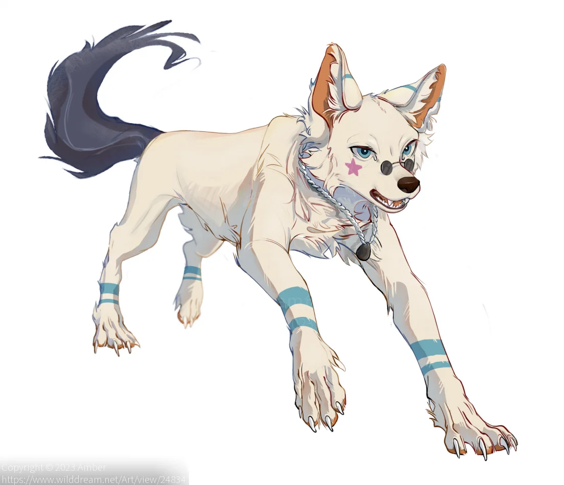 1 by Amber