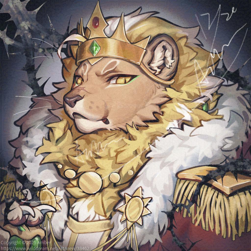 2024/12/20 by Amber