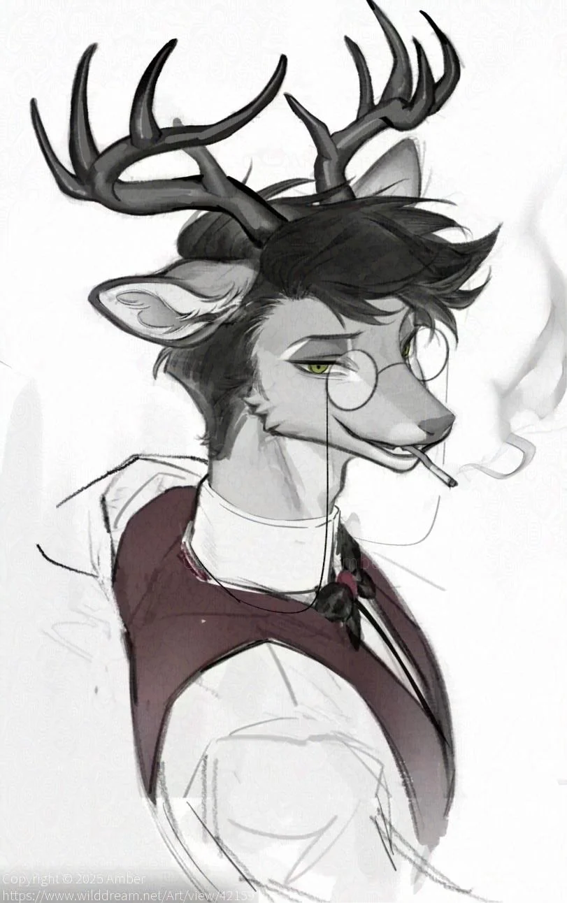 2025/12/28  by Amber