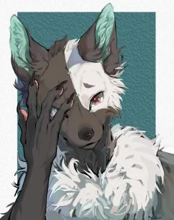 上个月的