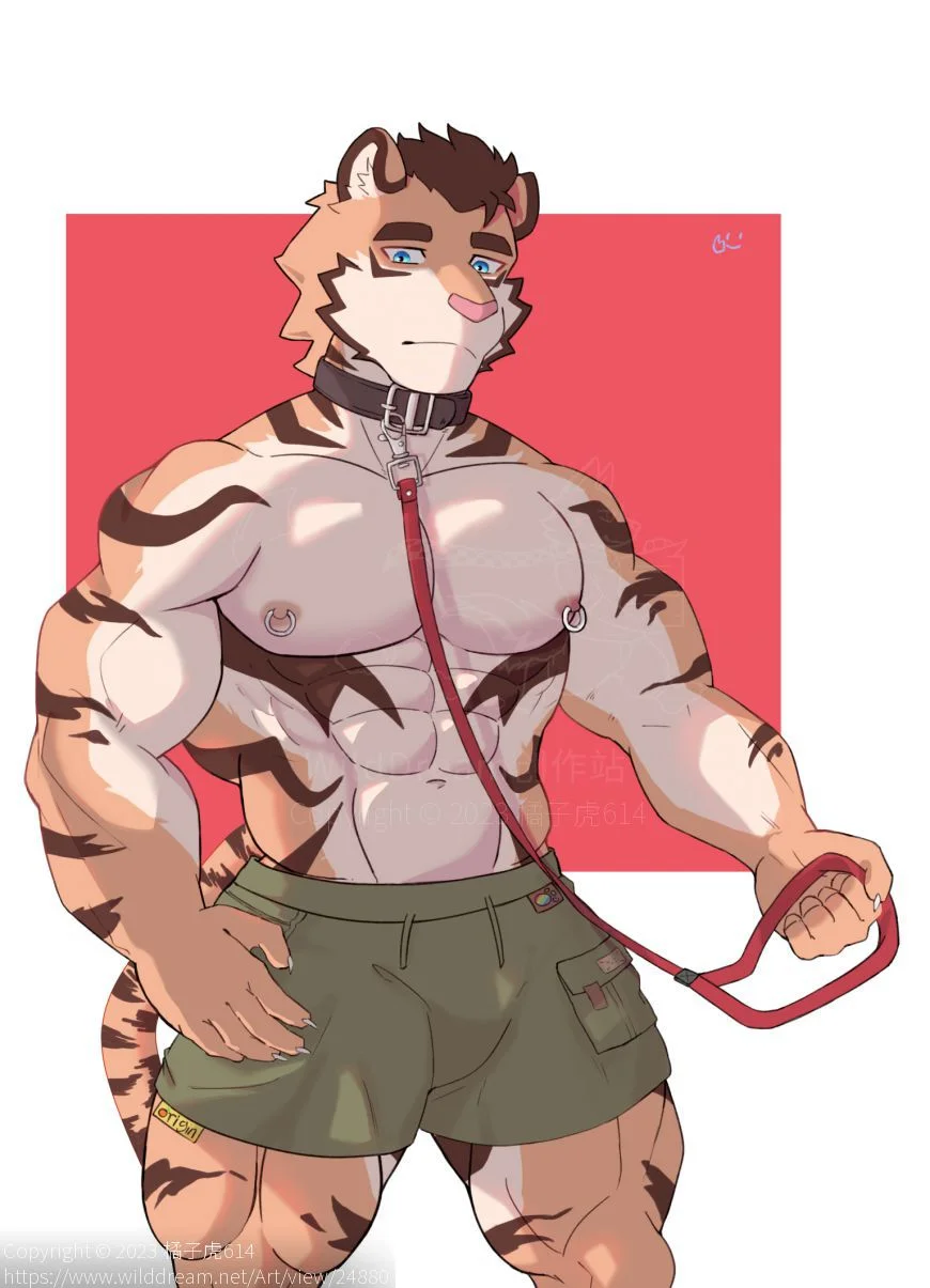 “喏” by 木吉6, furry , 虎, 肌肉, 项圈, 乳环