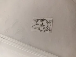 尝试开发新风格（图为什么倒了。。）