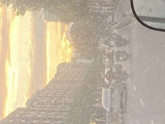 路上拍的