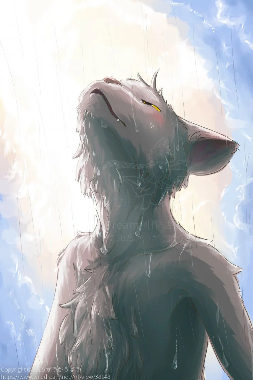 Sun break though those cloud by がうがうばう, black cat, furry