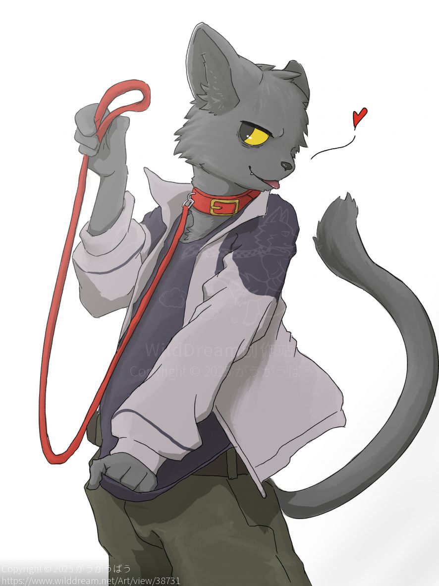 Take me for a walk by がうがうばう, black cat, furry