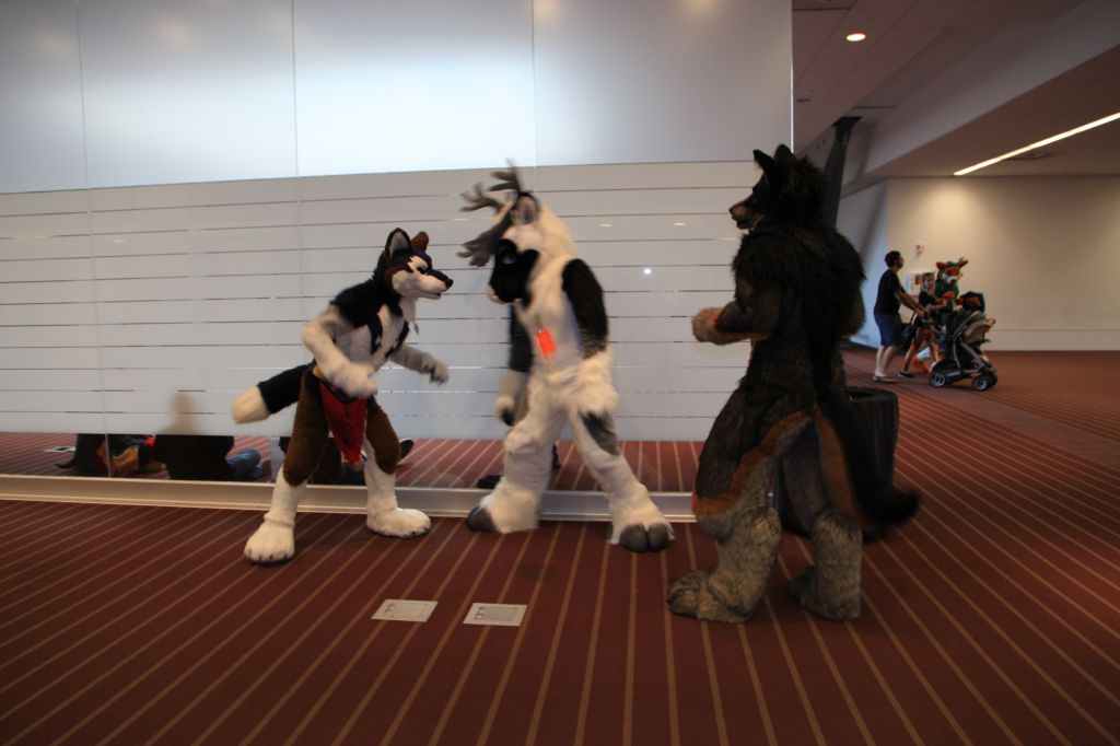 Anthrocon 2015 by alysterwolf