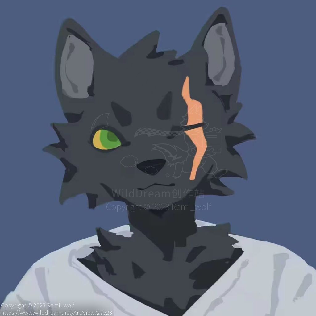 wolf by 玄_Xuan