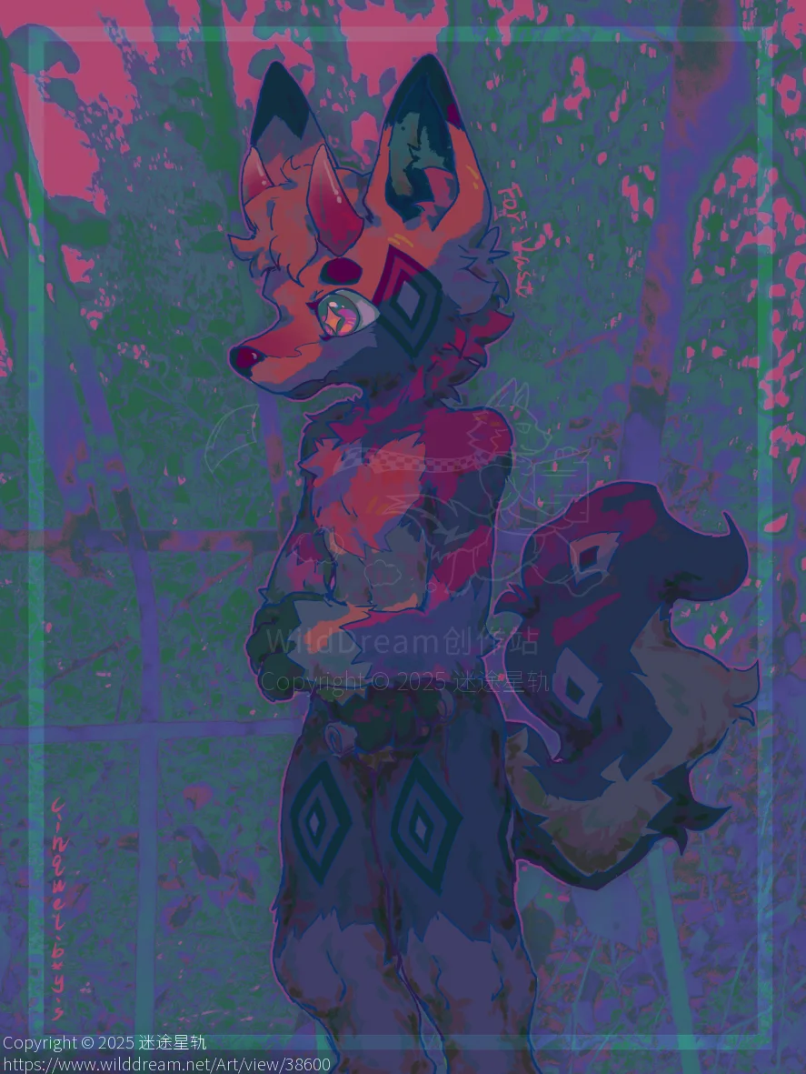 信 by 迷途星轨