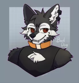 Bad_Dog