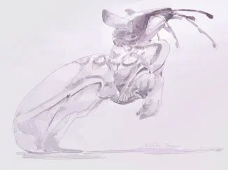 赠图