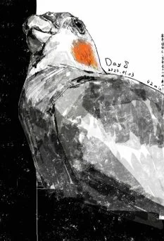 鸟鸟练习