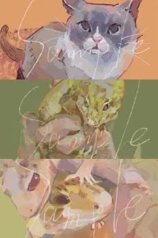 照片稿合集