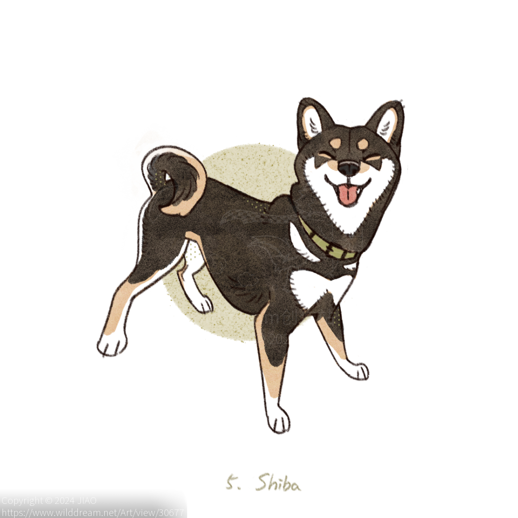 柴犬_Shiba by JIAO