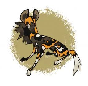 非洲野犬 by JIAO
