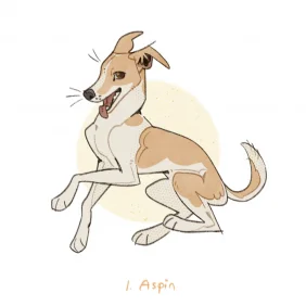 菲律宾本土犬_Aspin by JIAO