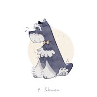 雪纳瑞_Schnauzer by JIAO