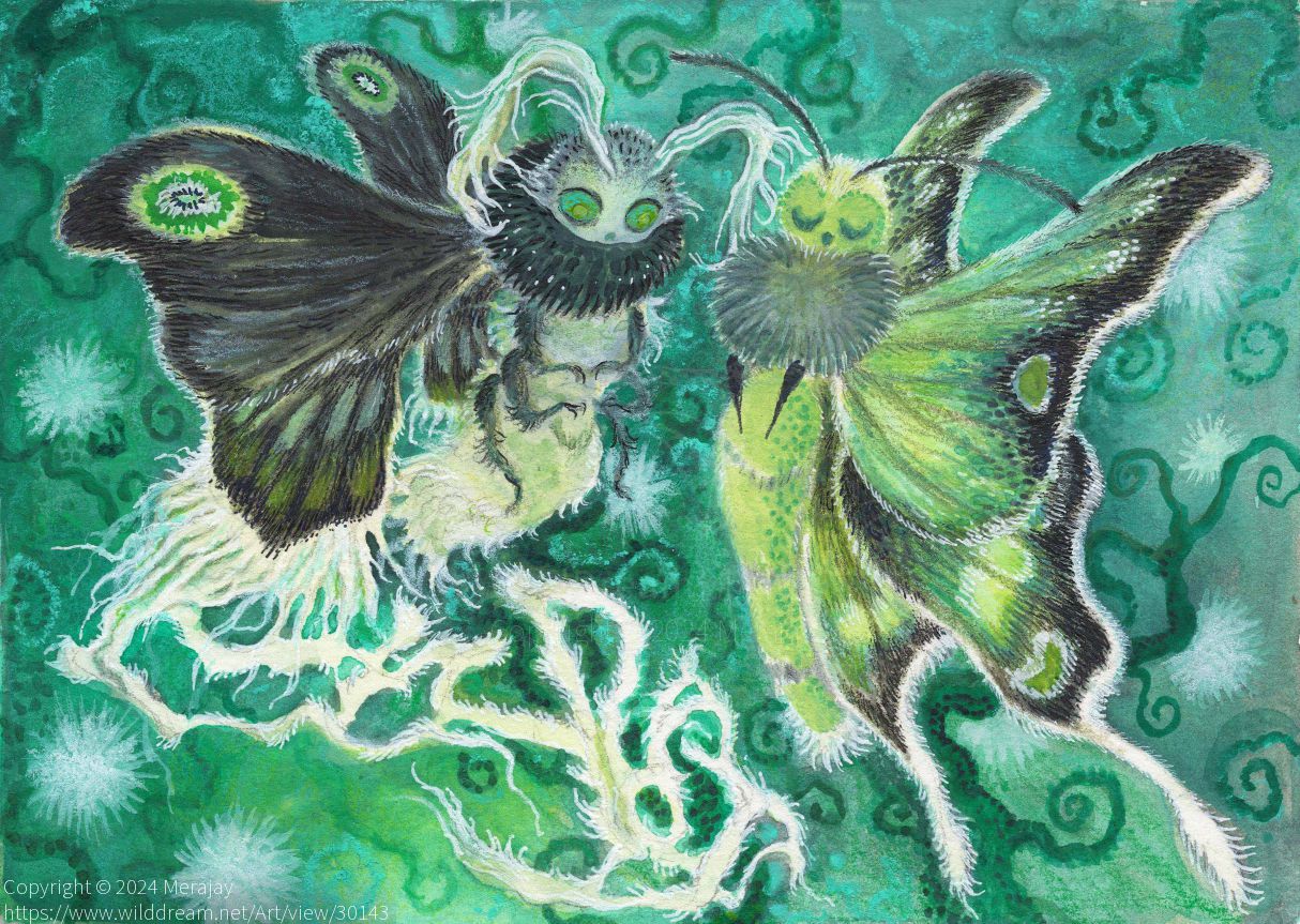 绿荫夜歌 by Merajay, 手绘, 虫, 蛾子, 蝴蝶