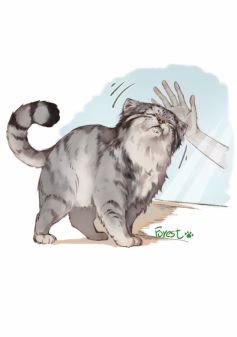秒秒是梦中情狲 by 林林小森