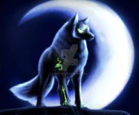 Wolf and the Moon 交换 by PhantomSpark