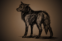 wolf_sketch by PhantomSpark
