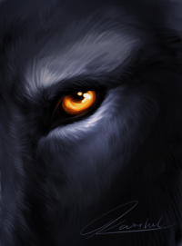 Wolf Eye by PhantomSpark