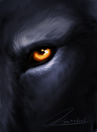 Wolf Eye