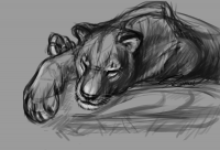 lioness_resting_on_a_rock by PhantomSpark