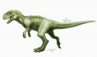 allosaurus by PhantomSpark