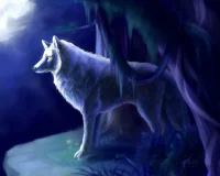 Mist The Pack Leader