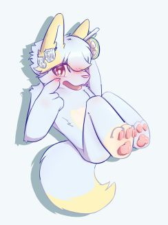 呜呜喵✧٩(ˊωˋ*)و✧