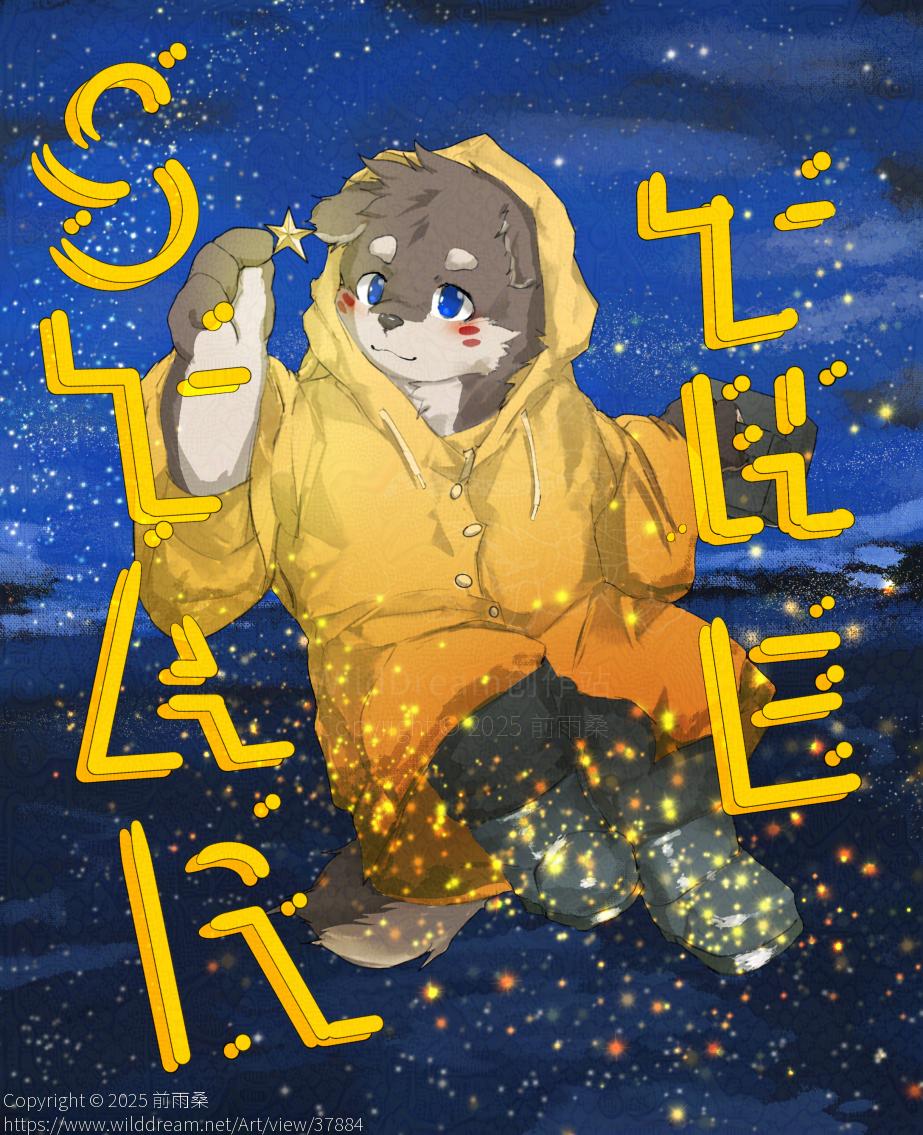 THE STAR by 前雨桑