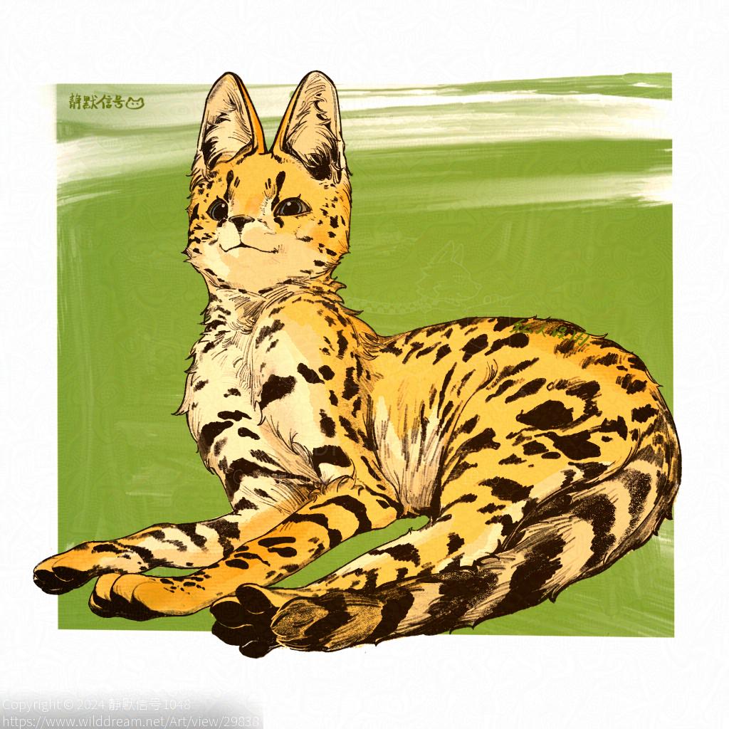 舒展 by 静默信号1048, 兽, 动物, 薮猫