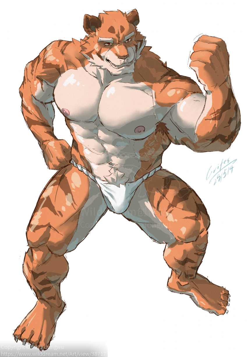 老胡 by dongwu