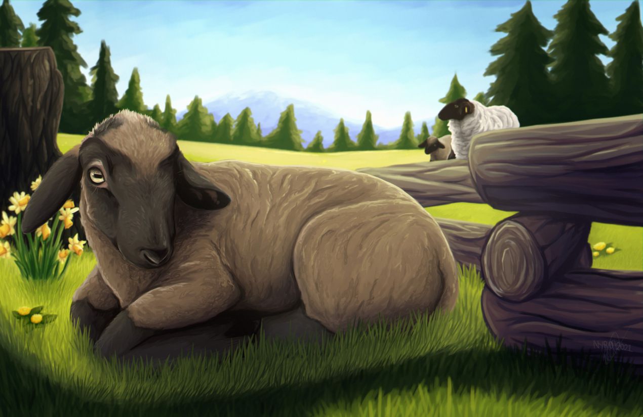 Vince the lamb by kstreetalley, sheep, animal, digital, painting, lamb