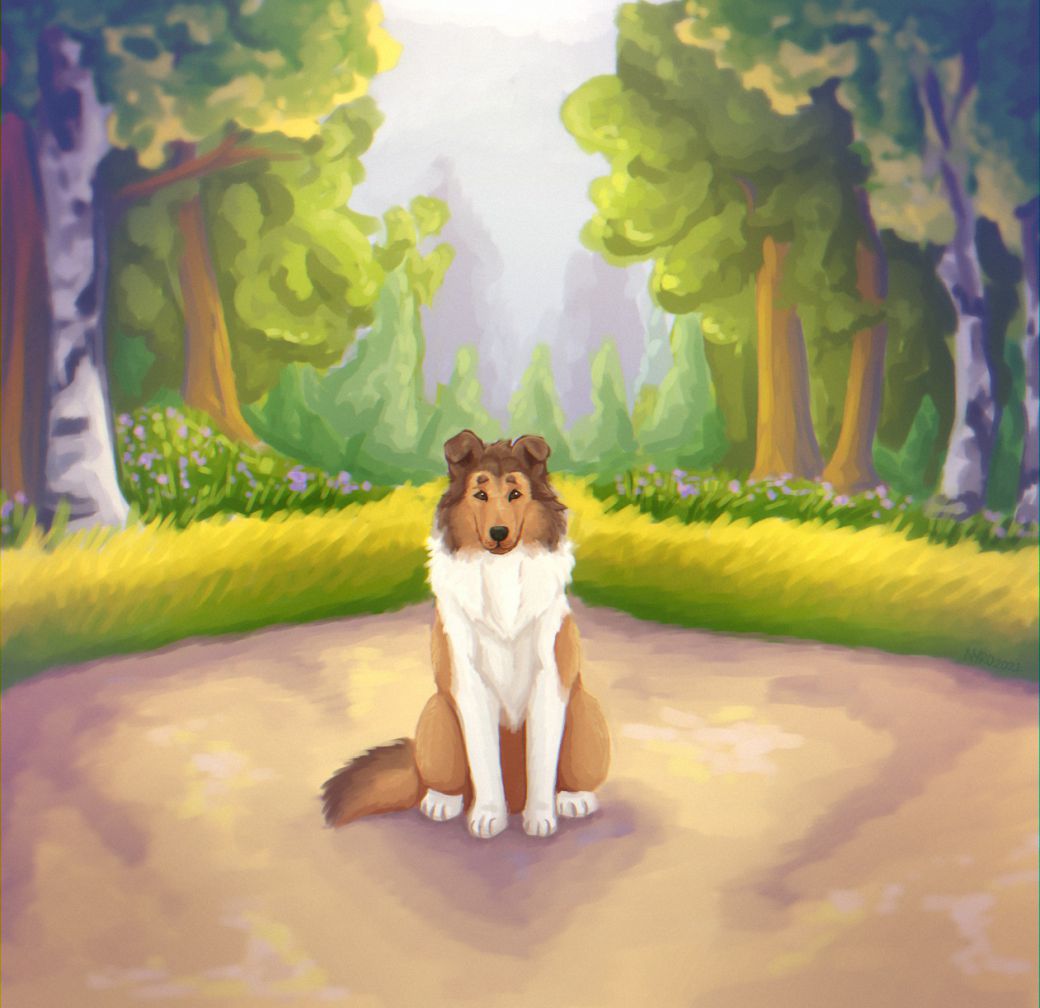 Tippet quick paint by kstreetalley, animal, canine, character, collie, digital, dog, feral, quick paint, scenic