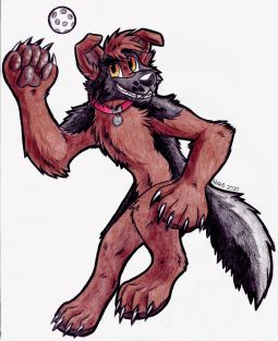 Fetch! (2020) by kstreetalley