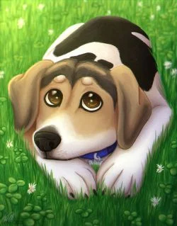 [CM] Sarah Portrait