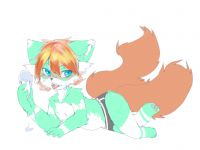 狐狸