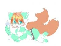 狐狸