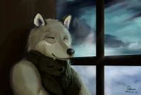 w by 晓丧