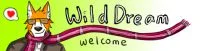 WildDream创作站