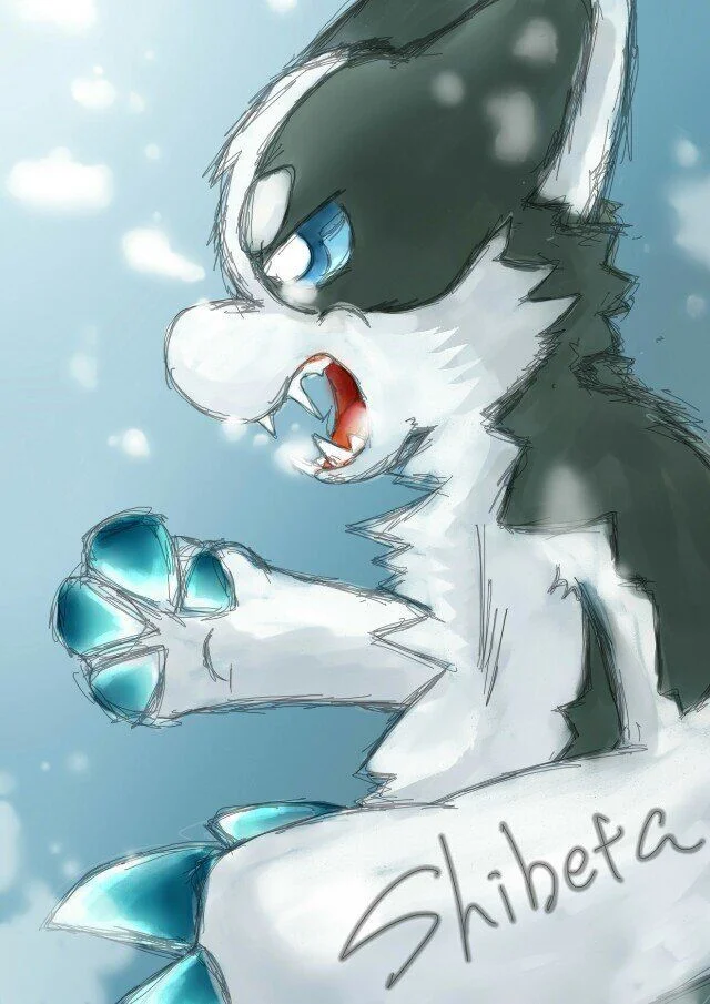 雪豹　ゲン　猫　原画 雪豹　ゲン　猫　原画
