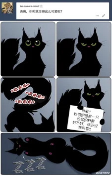 【授权汉化】Ask Theo | 提问猫猫西奥#8 by 305寝