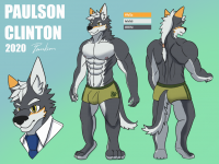 Paulson2020 by 保尔森克林顿