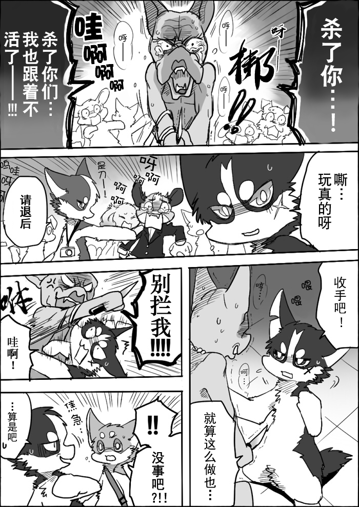 6-10 by 助屋催更办